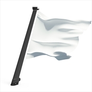 REMOVABLE LIGHT KIT FOR FLAG POLES WITH LIGHT