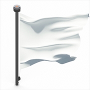 REMOVABLE FLAG POLE WITH LIGHT